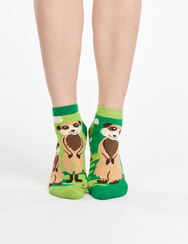 Vidám bokazokni Szurikáták