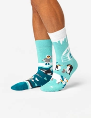 Teplé ponožky Arktická láska