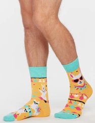 Veselé ponožky Cool lama