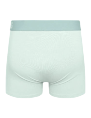 Boxer vert menthe pour hommes Boxer vert menthe pour hommes