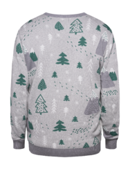 Winter Sweater Grey Forest