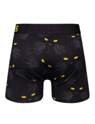 Boxers justos alegres de homem Olhares de Gato