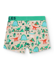 Vidám fiú bokszeralsó Dínó gördeszkával