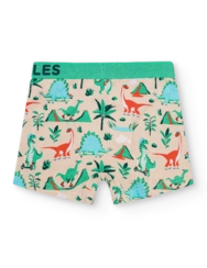 Veselé chlapecké boxerky Dino na skateboardu