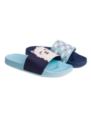 Slides Llama & Clouds