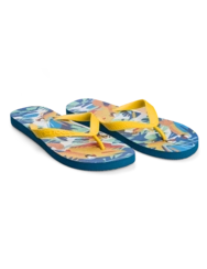 Veselé žabky Tropičtí ptáci