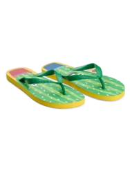 Veselé žabky Vtipný kaktus