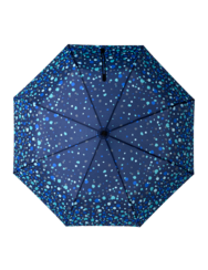 Umbrella Raindrops