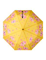 Vidám esernyő Tavaszi tavirózsák