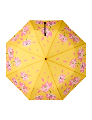 Veselý deštník Jarní lekníny