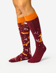 Весели чорапи до коляното Лисица и листа