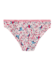 Women's Briefs Birds and Rowan
