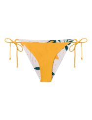 Bikini Bottom Oranges