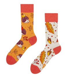 Vrolijke sokken van gerecycled katoen Herfst egel