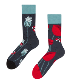 Vrolijke sokken Lieveheersbeestjes & papaverbloemen