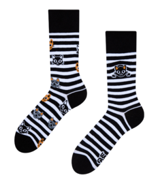 Vrolijke sokken Katten en strepen