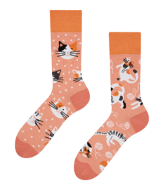 Vrolijke sokken Speelse poesjes