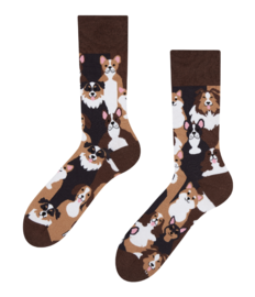 Vrolijke sokken Hondje