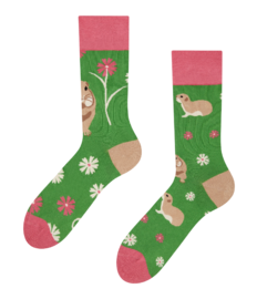 Vrolijke bamboe sokken Grondeekhoorn