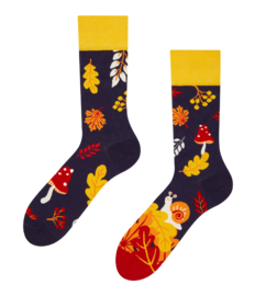 Vrolijke sokken Herfstslak