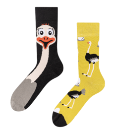 Vrolijke sokken Struisvogel