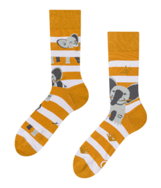 Vrolijke sokken Olifant & strepen