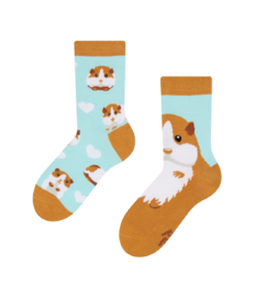 Vrolijke kindersokken Cavia