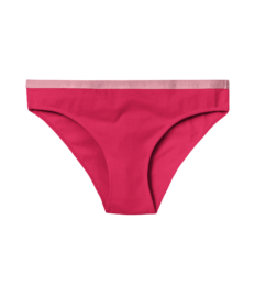 Crimson Red Women's Briefs