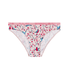 Vrolijke damesslips Vogels in de lijsterbes