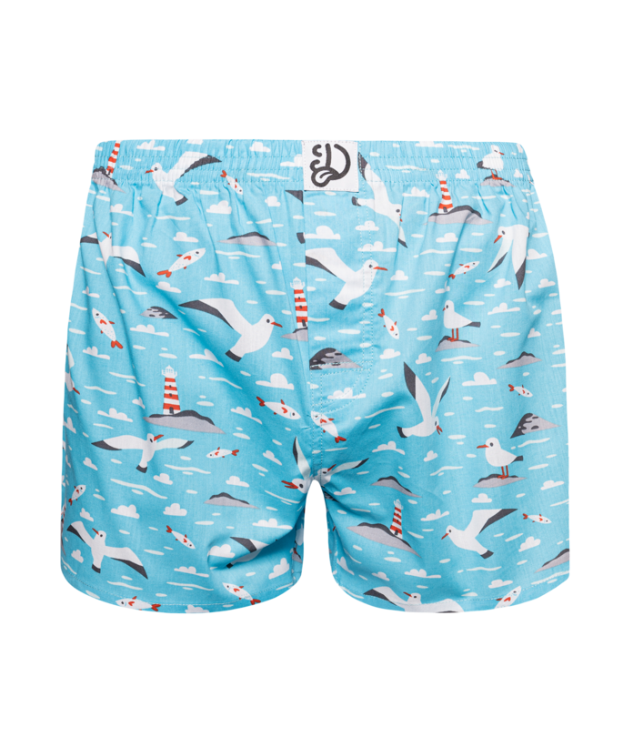 Men's Boxer Shorts od 8.99 € Dedoles