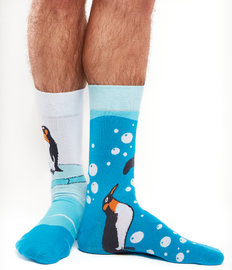 Meias alegres Pinguins