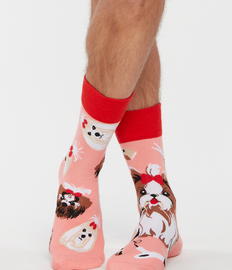 Vrolijke sokken Yorkshire terriër