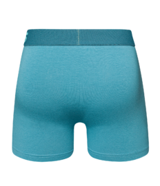 IJsberg blauwe herentrunks