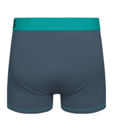 Herentrunks grijs en turquoise