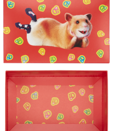 Klassieke geschenkdoos Dedoles hamsters