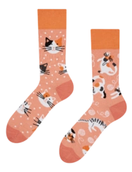 Veselé ponožky Hravé mačky