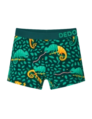 Veselé chlapecké boxerky Chameleon na lovu