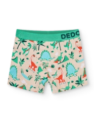 Veselé chlapčenské boxerky Dino na skateboarde
