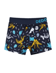 Boys' Boxers Dinosaurs