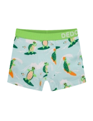 Veselé chlapčenské boxerky Surfujúca korytnačka