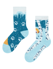 Kids' Warm Socks Fox in Winter