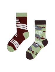 Veselé dětské ponožky Lenochod