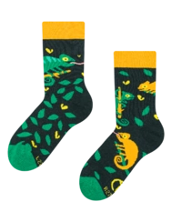 Veselé dětské ponožky Chameleon na lovu