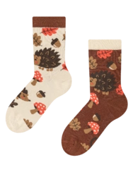 Veselé dětské ponožky Lesní ježek