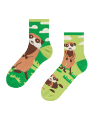 Vidám vádlizokni Szurikáták