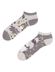 Vidám bokazokni Mosómedve