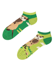 Vidám bokazokni Szurikáták