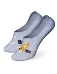 Vidám titokzokni Corgi kutya