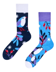 Teplé ponožky Vtáčik v zime