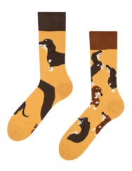 Veselé ponožky Jazvečíky